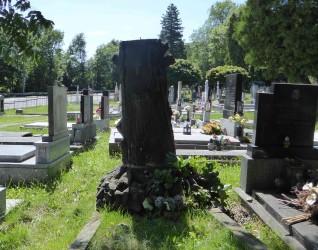 Grób oznaczony krzyżem na cokole przypominającym pień drzewa, z podstawą stylizowaną na korzenie na stosie kamieni, otoczony roślinnością. Element pionowy z prętem na szczycie. Z prawej strony wisi rzeźbiona szabla.