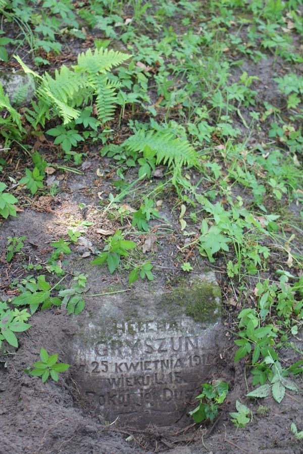 Nagrobek Heleny Gryszun, cmentarz Na Rossie w Wilnie, stan z 2013