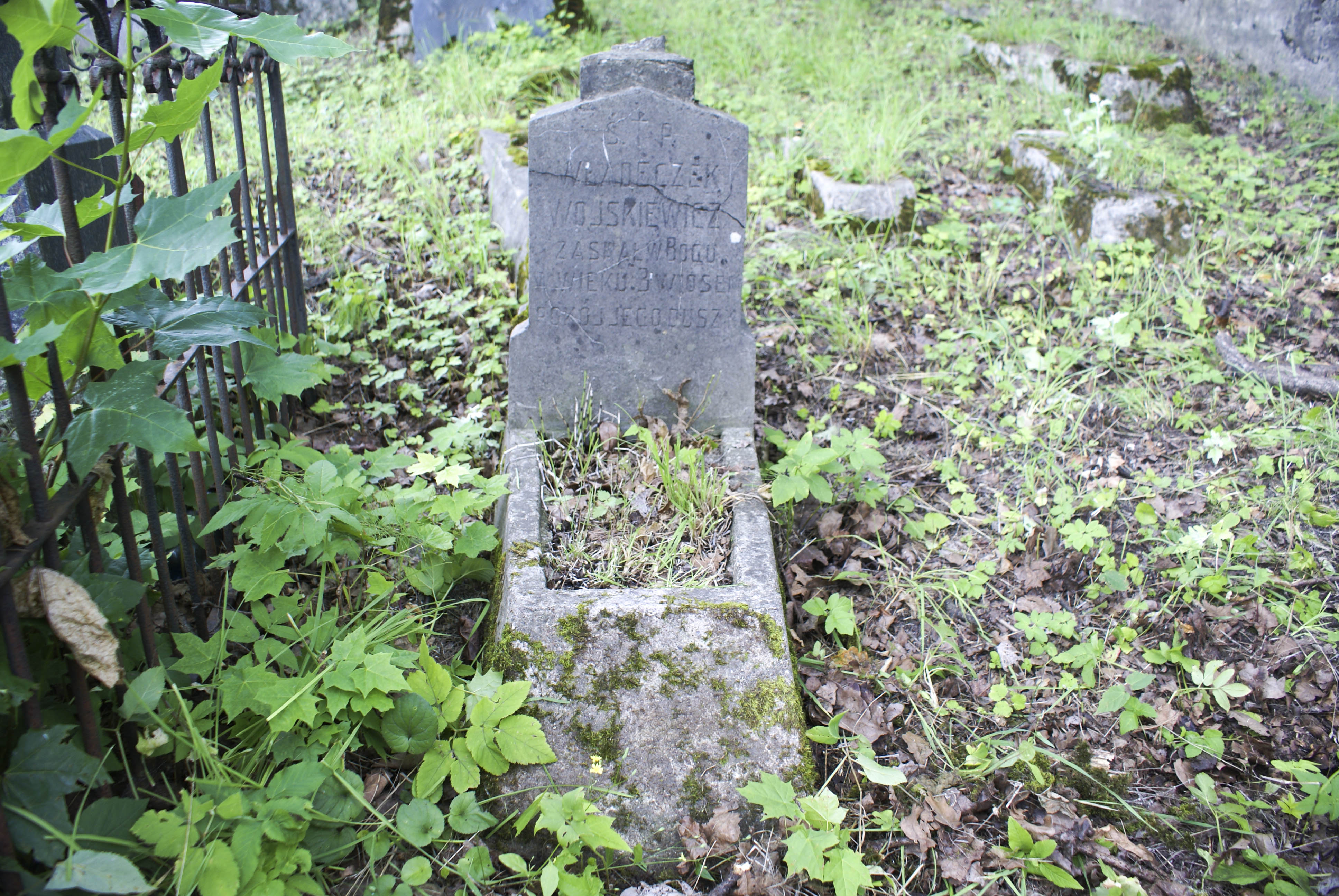 Tombstone of Wladyslaw Wojskiewicz, Na Rossie cemetery in Vilnius, as of 2013.