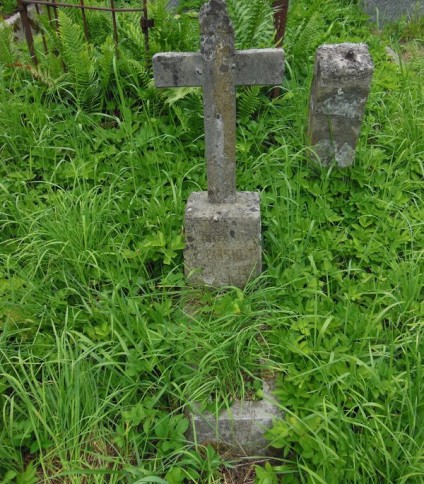 Nagrobek Antoniego Ziemskiego, cmentarz Na Rossie w Wilnie, stan z 2013