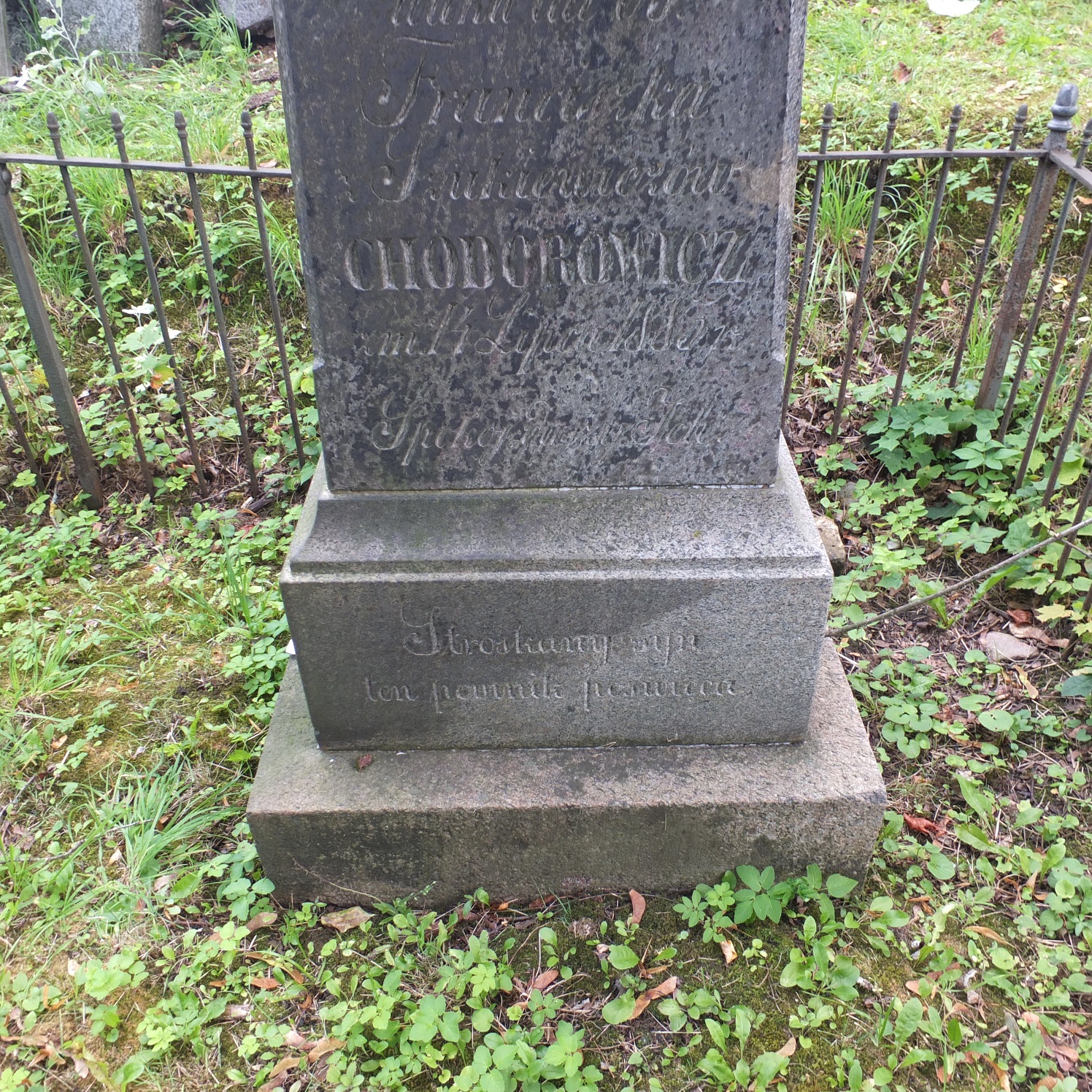 Fragment of the tombstone of Franciszka and Vincent Khodorovich, Na Rossie cemetery in Vilnius, as of 2013.