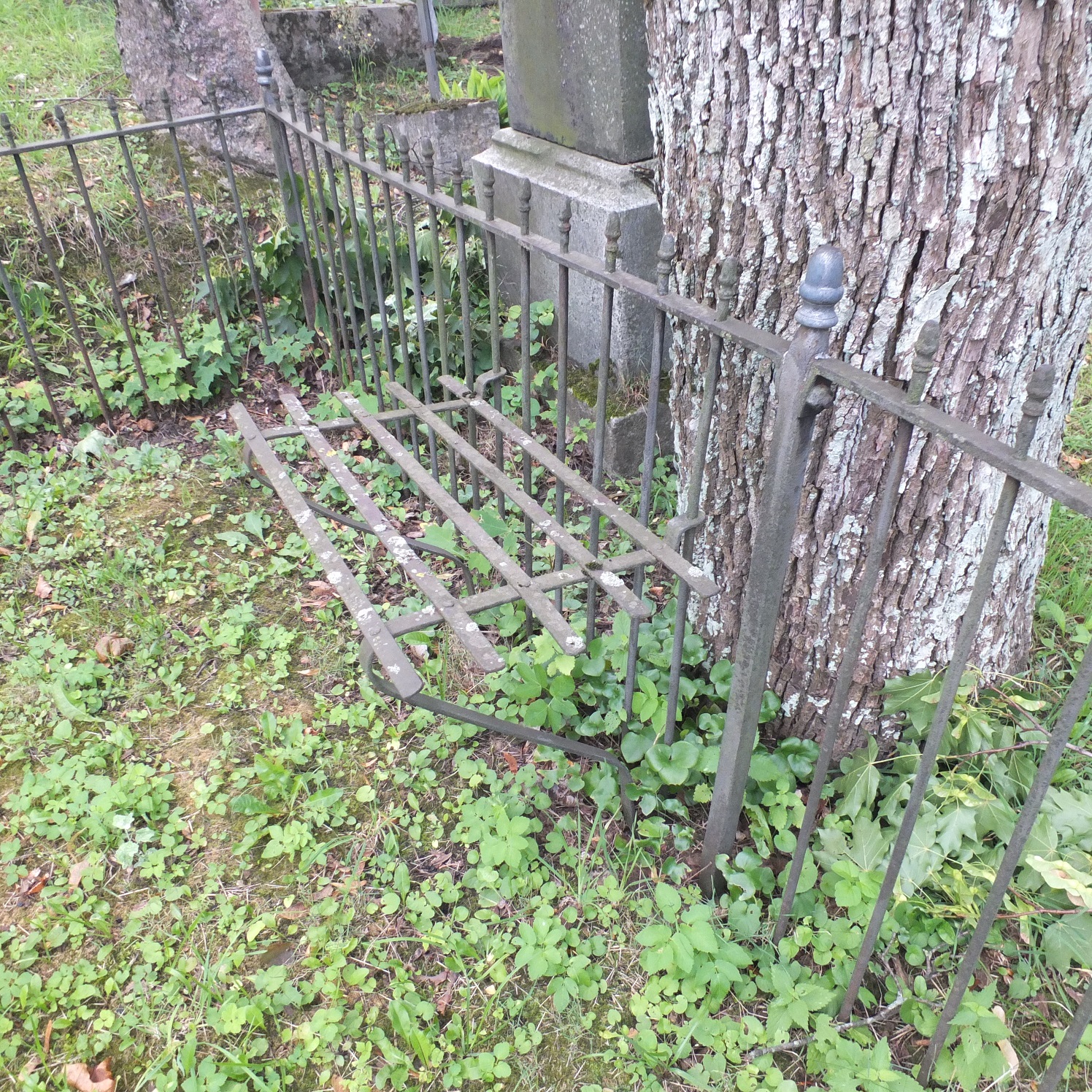 Fragment of the fence of the tombstone of Franciszka and Wincenty Chodorowicz, Na Rossie cemetery in Vilnius, as of 2013.