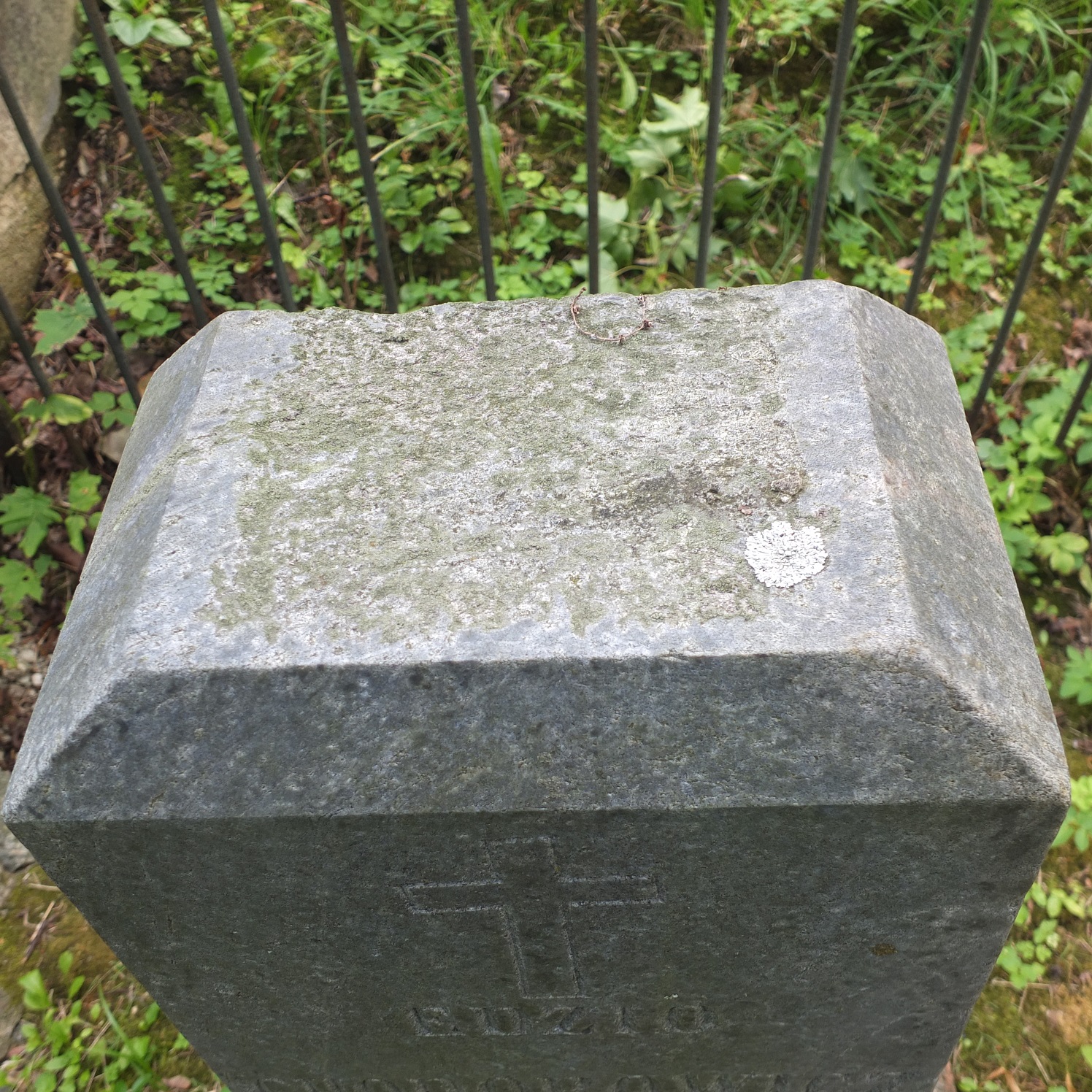 Fragment of the tombstone of Edward Khodorovich, Na Rossa cemetery in Vilnius, as of 2013.