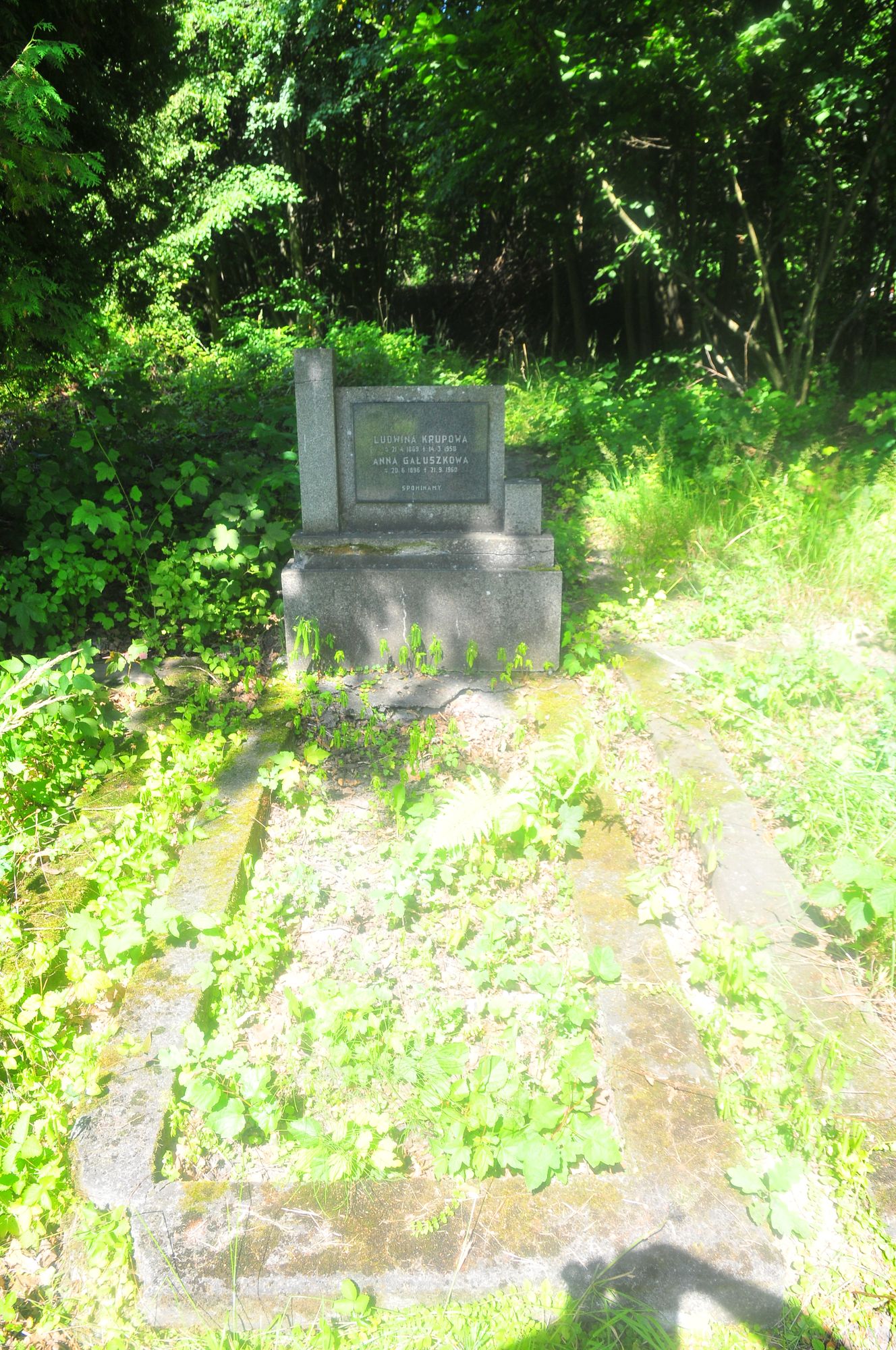 Tombstone of Ludwina Krupowa, and Anna Galuszkowa