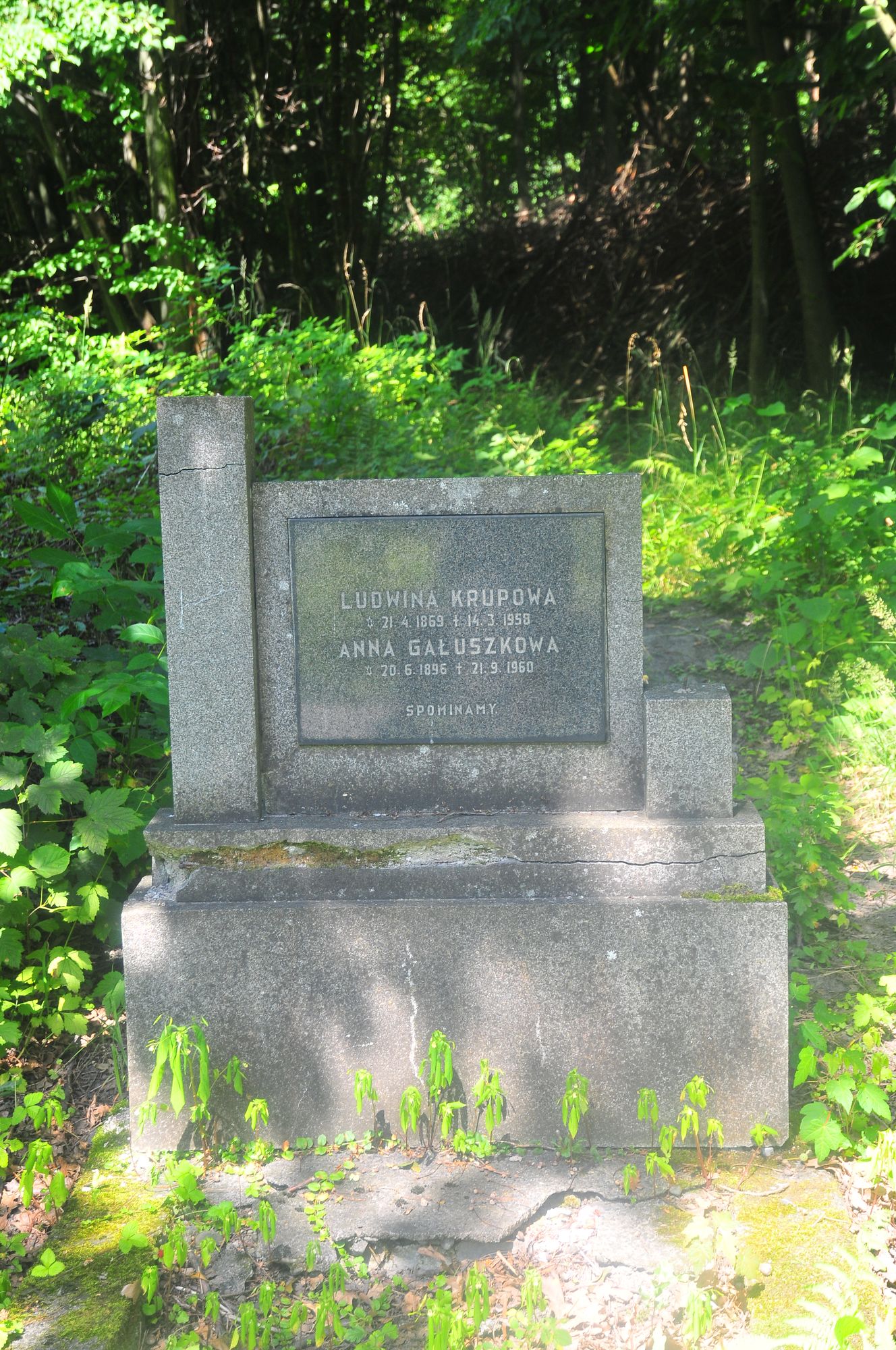 Tombstone of Ludwina Krupowa, and Anna Galuszkowa