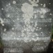 Photo showing Tombstone of the Ziemacki family