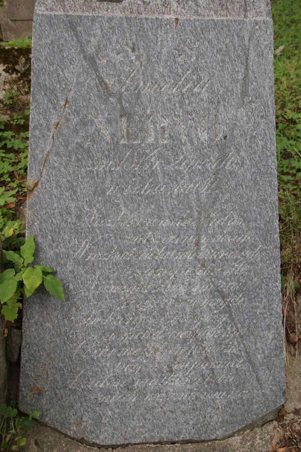 Tombstone of Amelia Nervo, Rossa cemetery in Vilnius, as of 2013