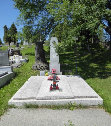 Grób oznaczony dwuspadowym obeliskiem z krzyżem i głową Chrystusa, otoczony trzema płytami kamiennymi. Środkowa płyta jest szersza i wypukła. Widoczne inskrypcje na obelisku i cokole.