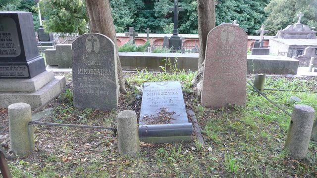 Nagrobek Izabeli Mikoszy, cmentarz na Rossie w Wilnie, stan z 2013