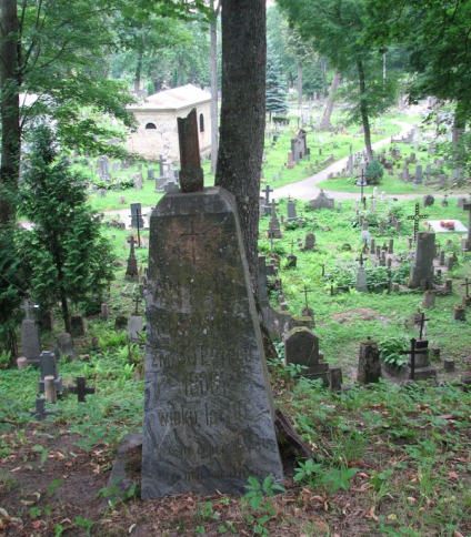 Nagrobek Antoniego Krzywca, cmentarz na Rossie w Wilnie, stan na 2014 r.