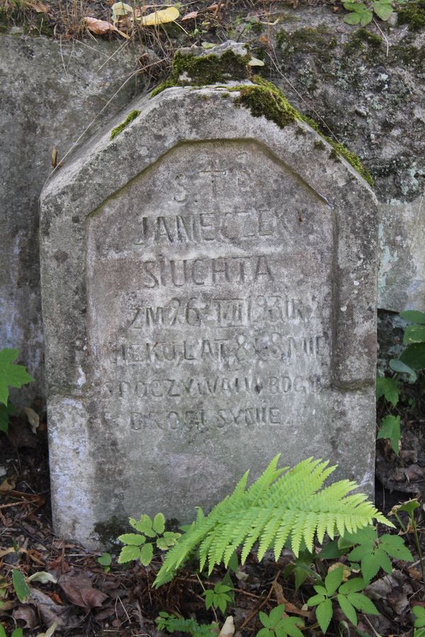 Grobowiec Jana Siuchty, cmentarz Na Rossie w Wilnie, stan z 2013