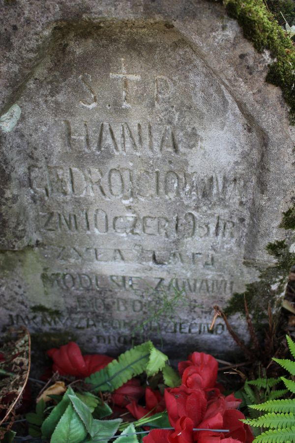 Tomb of Hanna and Leonard Giedroyc, Na Rossie cemetery in Vilnius, as of 2013