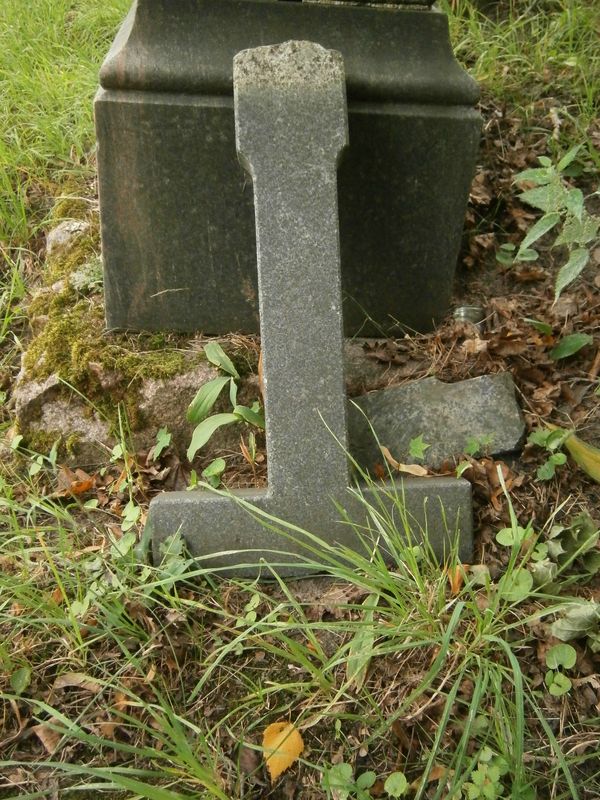 Detal nagrobka Stefana Dybowskiego, cmentarz Na Rossie w Wilnie, stan z 2013