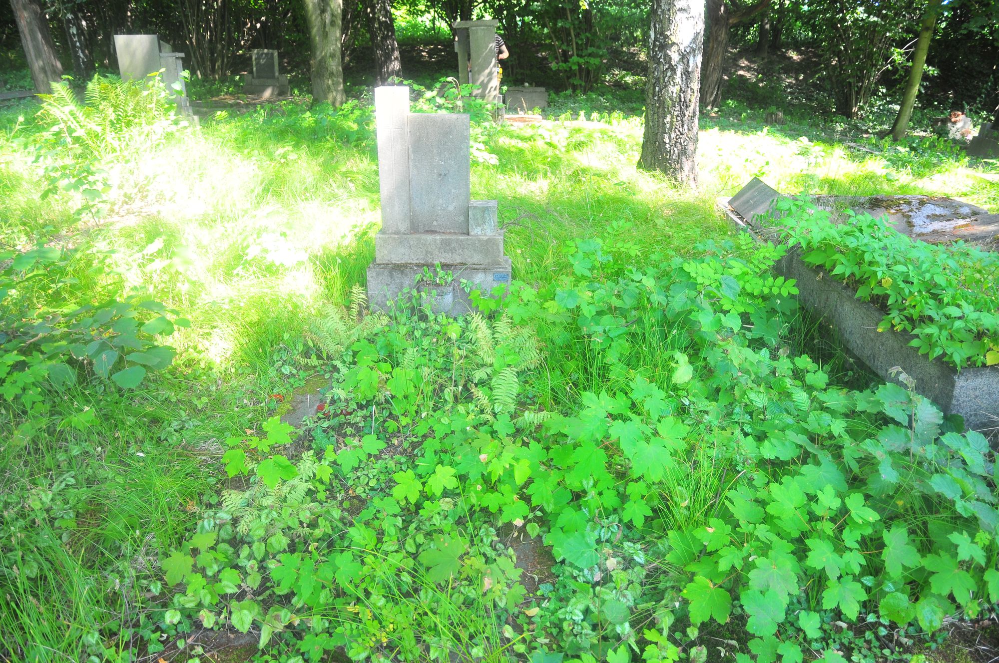 Tombstone of Vuadek Galgonka