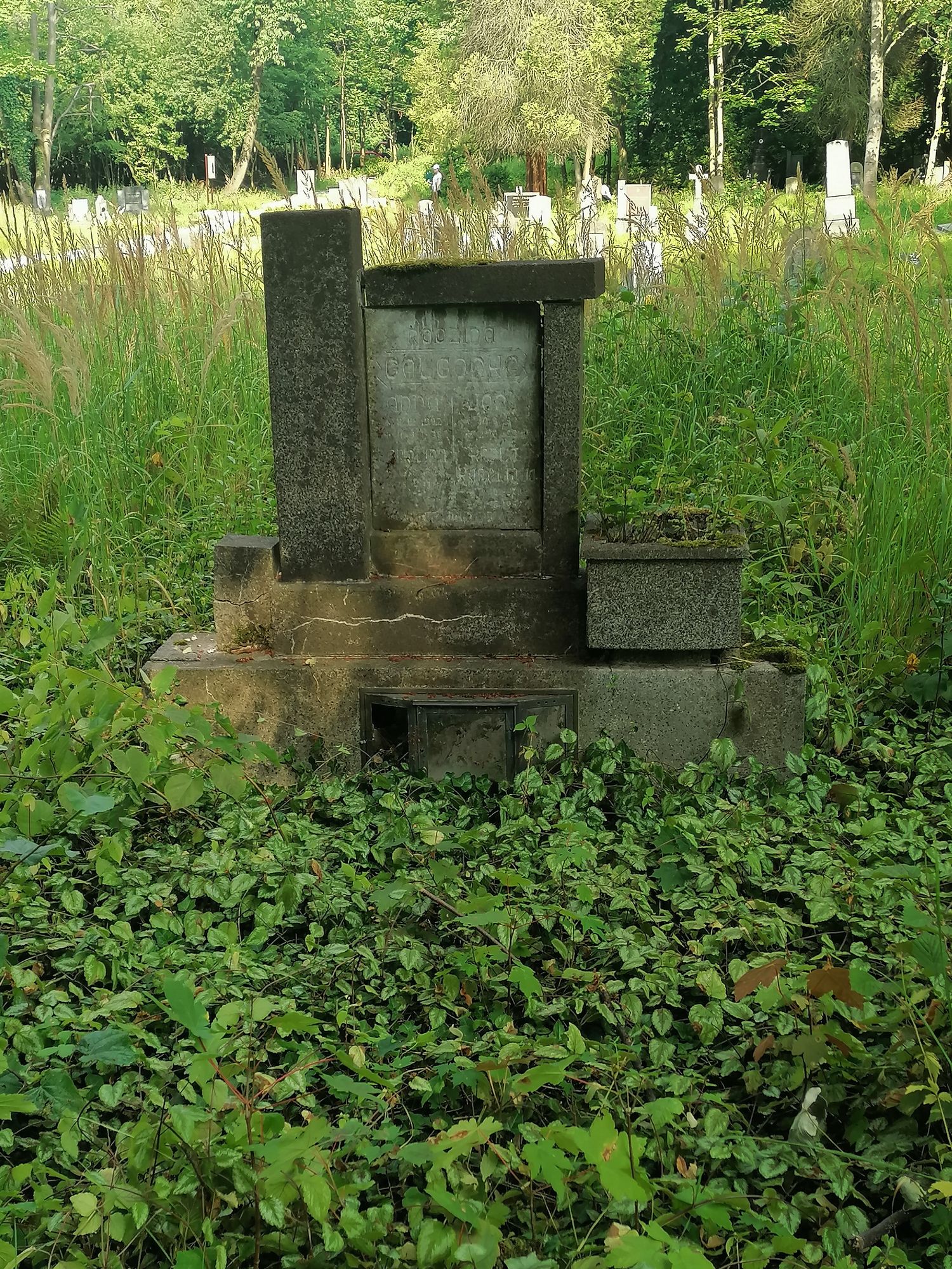 Tombstone of the Galgonka family, and Karla Harpetová