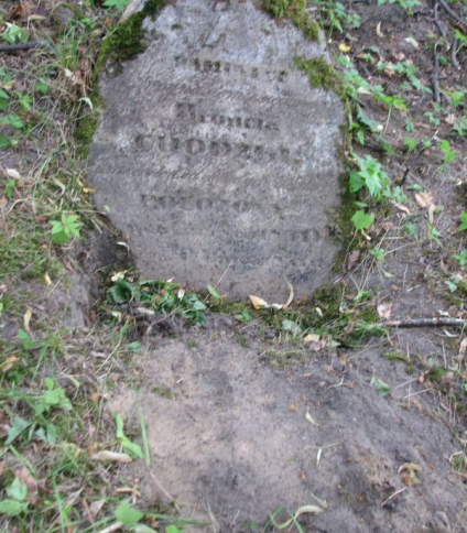 Nagrobek Bronisława Chodżko, cmentarz na Rossie w Wilnie, stan na 2014 r.