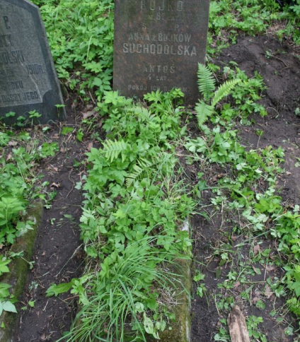 Nagrobek Heleny Bujko i Anny Suchodolskiej, cmentarz na Rossie w Wilnie, stan z 2013
