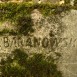 Fotografia przedstawiająca Tombstone of Albertine Czechowicz
