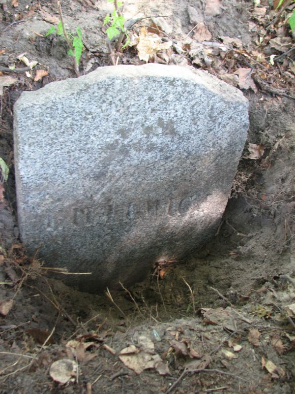 Tombstone of Hipolit Billevich, Ross cemetery in Vilnius, as of 2013.