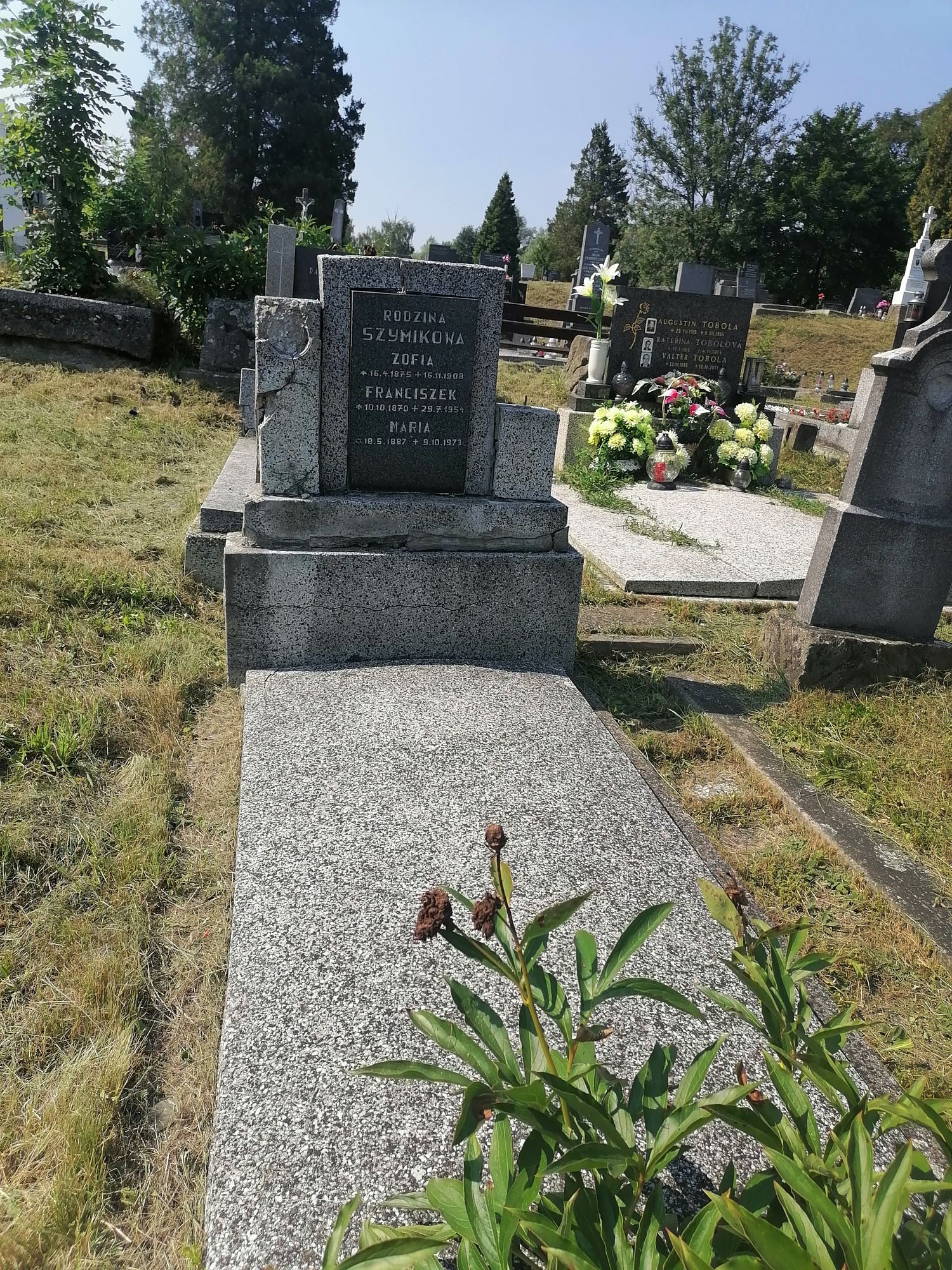 Tombstone of the Szymikowa family, Karviná Doły cemetery, state 2022