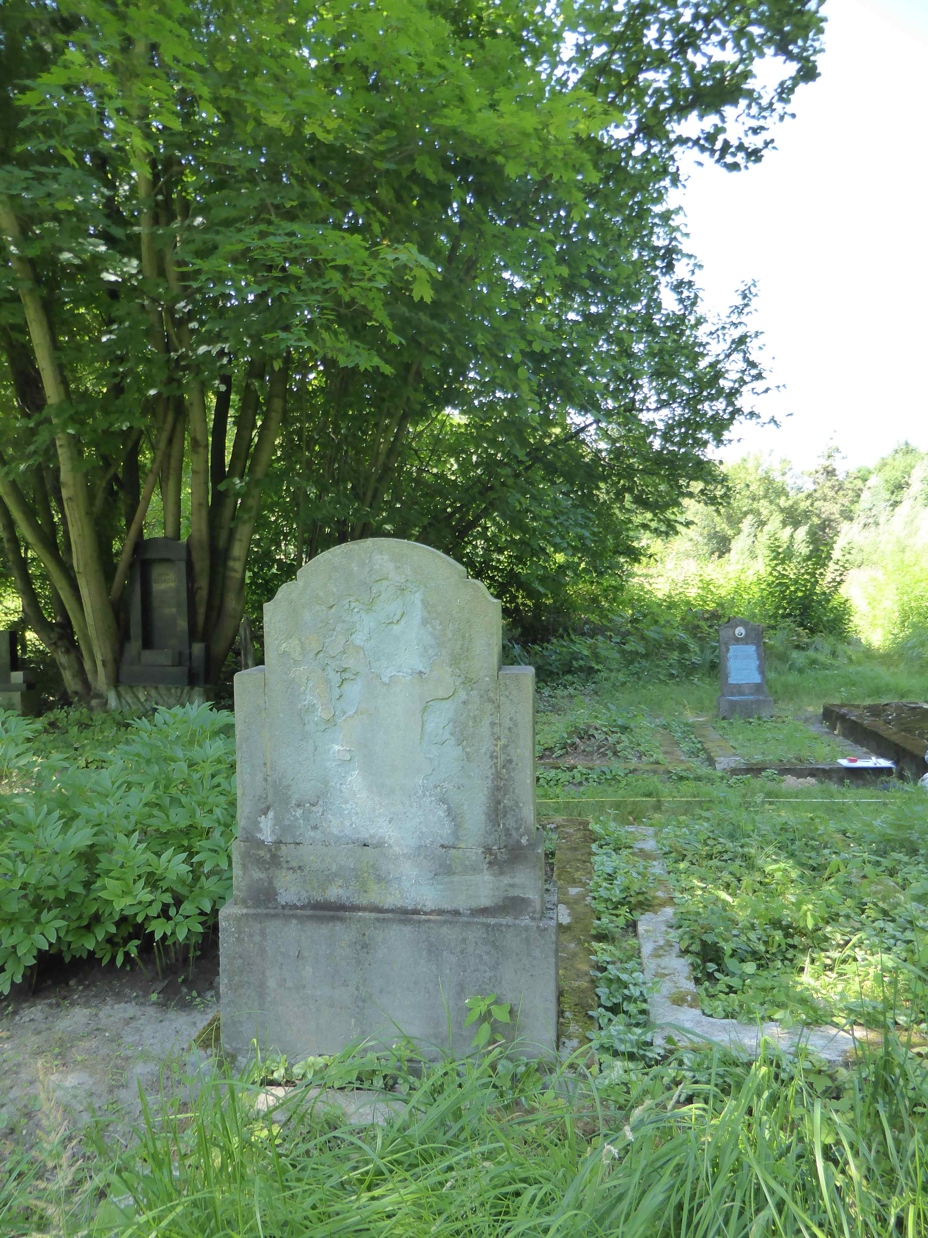 Fotografia przedstawiająca Tombstone of Ernest Oszelj