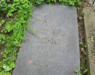 Nagrobek Józefa Ciechońskiego, cmentarz na Rossie w Wilnie, stan z 2013