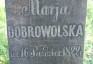 Photo montrant Tombstone of Maria and Gustaw Rumbowicz and Maria Dobrowolska