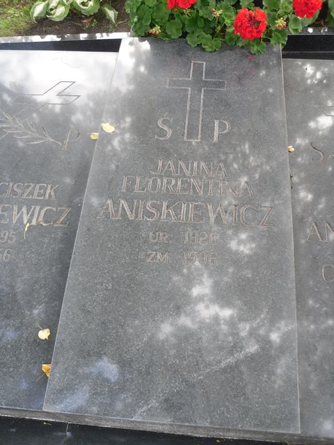 Fragment nagrobka Franciszka, Janiny i Marii Aniskiewiczów, cmentarz na Rossie w Wilnie, stan z 2013