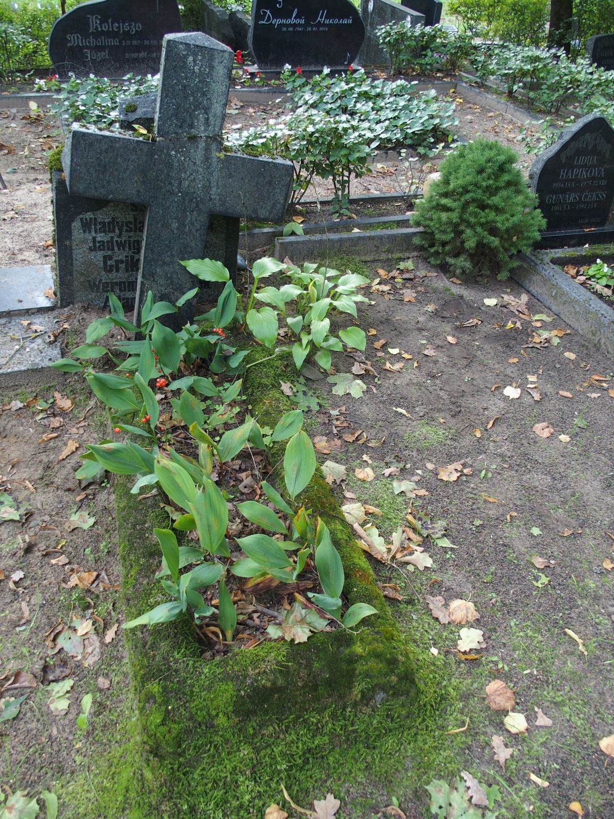 Tombstone of Adam Grikopielis, Jadwiga Grikopielis, Veronika Grikopielis and Vladislav Grikopielis, St Michael's cemetery in Riga, as of 2021.