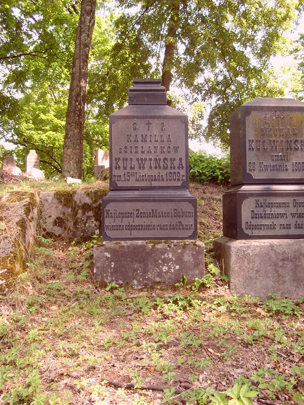 Tombstone of Kamila and Wanda Kulwinski, Ross Cemetery in Vilnius, as of 2013.