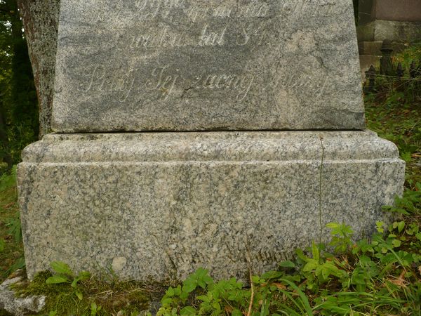 Fragment nagrobka Antoniny i Hipolita Sawickich, Haliny Wolskie, cmentarz Na Rossie w Wilnie, stan z 2013