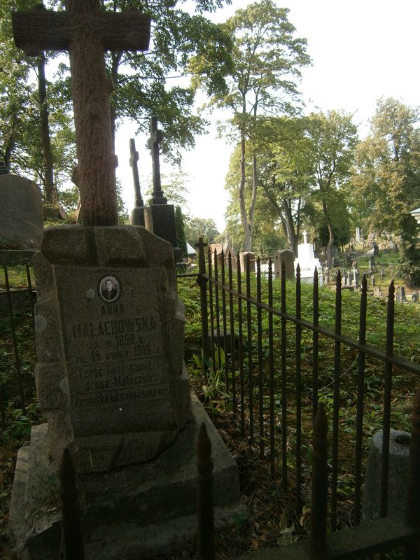 Fragment grobowca Aleksandra i Anny Małachowskich, cmentarz Na Rossie w Wilnie, stan z 2013