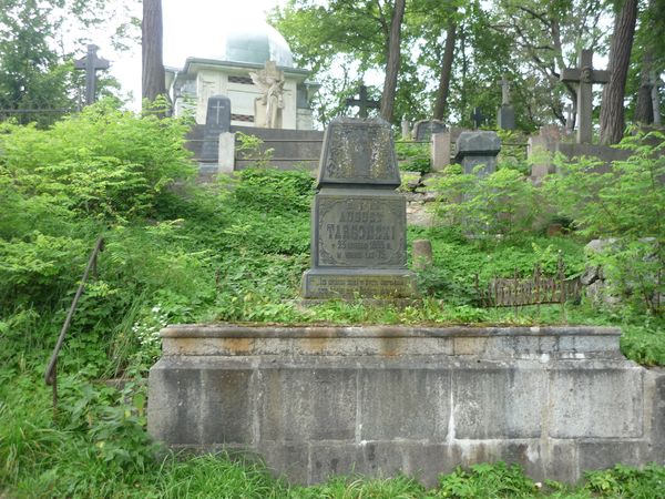 Grobowiec Julii i Augusta Targońskich, cmentarz Na Rossie w Wilnie, stan z 2013