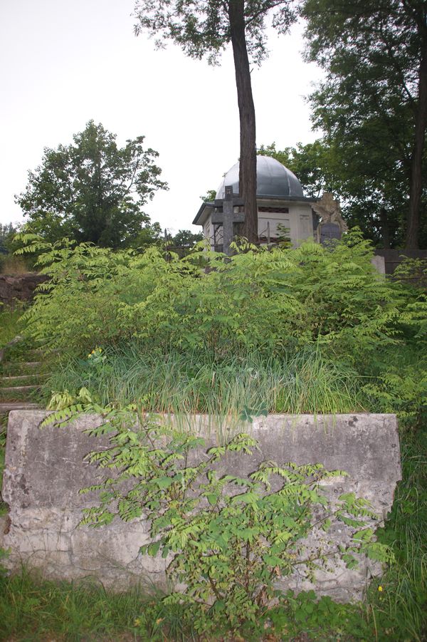 Grobowiec Aleksandry Klioss, cmentarz Na Rossie w Wilnie, stan z 2013