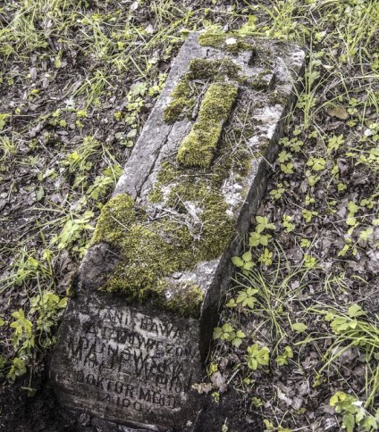 Nagrobek Stanisławy Dunowskiej i N.N. Majewskiego, cmentarz Na Rossie w Wilnie, stan z 2013 r.