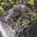 Альтернативний текст фотографії