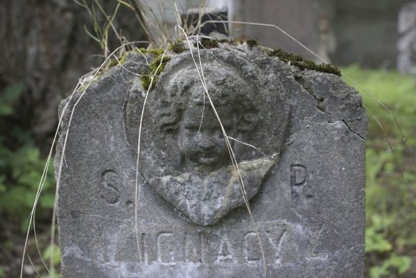 Fragment of the tombstone of Ignacy Wojskiewicz, Na Rossie cemetery in Vilnius, as of 2013.