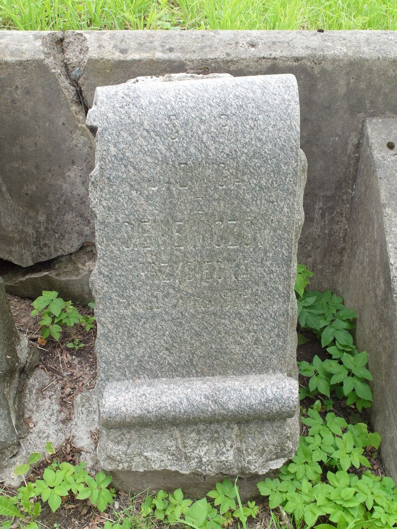 Tombstone of Jadwiga Przyciecka, Na Rossie cemetery in Vilnius, State of 2013