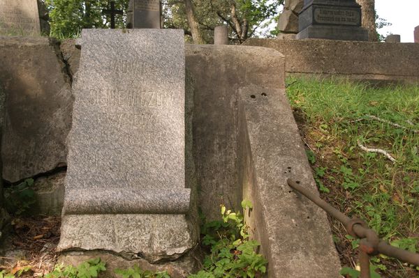 Tombstone of Jadwiga Przyciecka, Na Rossie cemetery in Vilnius, State of 2013