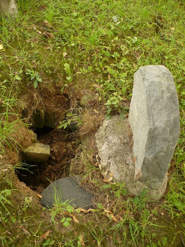 Fragment of Alexandra Nalivaykin's tombstone, Na Rossie cemetery in Vilnius, state of 2013