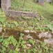 Альтернативний текст фотографії