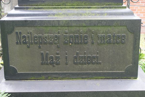 Fragment nagrobka Heleny Januszkowskiej, cmentarz na Rossie, stan z 2013 roku