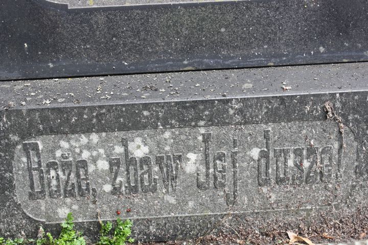 Fragment of the gravestone of Kamila Kodź, Rossa cemetery in Vilnius, as of 2013