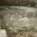 Альтернативний текст фотографії