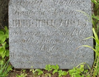 Nagrobek Franciszki Berkiewicz, cmentarz na Rossie w Wilnie, stan z 2015