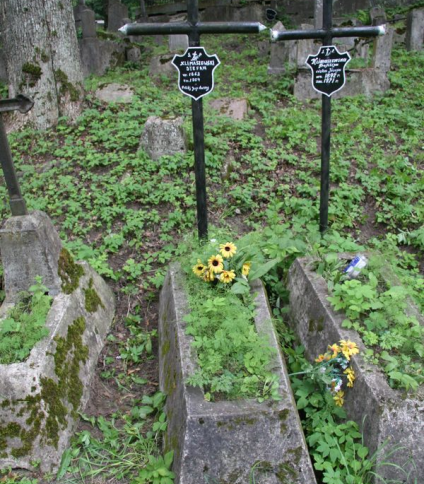 Nagrobek Stefana Klimaszewskiego, cmentarz na Rossie w Wilnie, stan z 2013