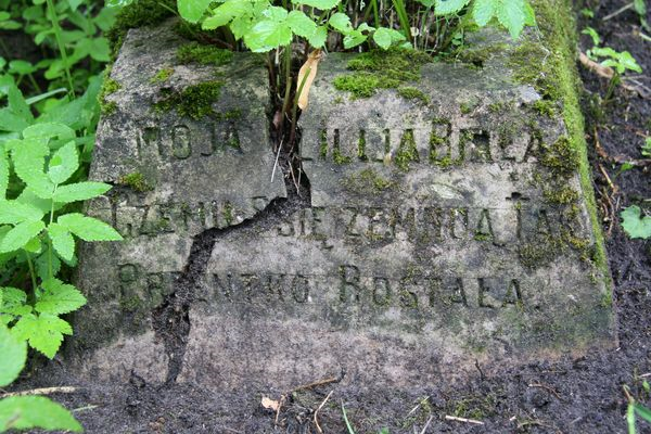 Inskrypcja na nagrobku N.N., cmentarz na Rossie w Wilnie, stan z 2013