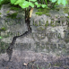 Fotografia przedstawiająca Nagrobek N.N.