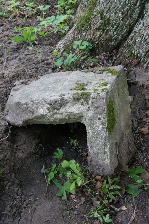 Nagrobek Wiktorii Marcinkiewicz, cmentarz na Rossie w Wilnie, stan z 2013