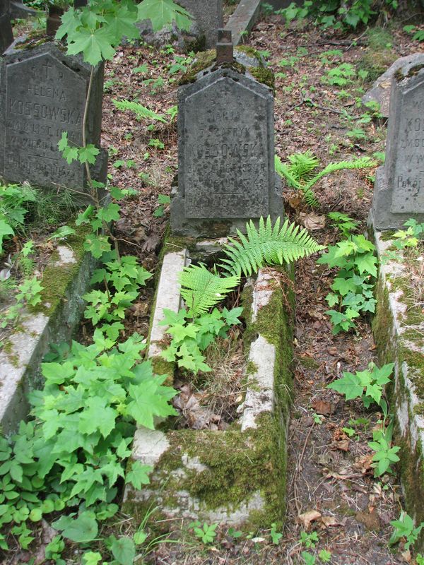 Nagrobek Marii i Zygmunta Kossowskich, cmentarz na Rossie w Wilnie, stan na 2013 r.